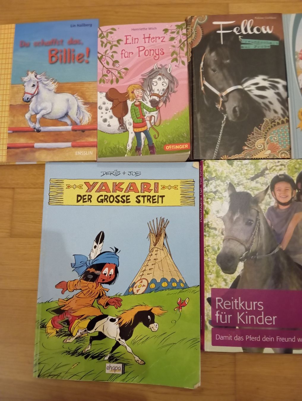 Libri: 8 Pferdebücher für Kinder – Usato da Montlingen venduto da Beanz 1