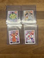Panini Extra Stickers