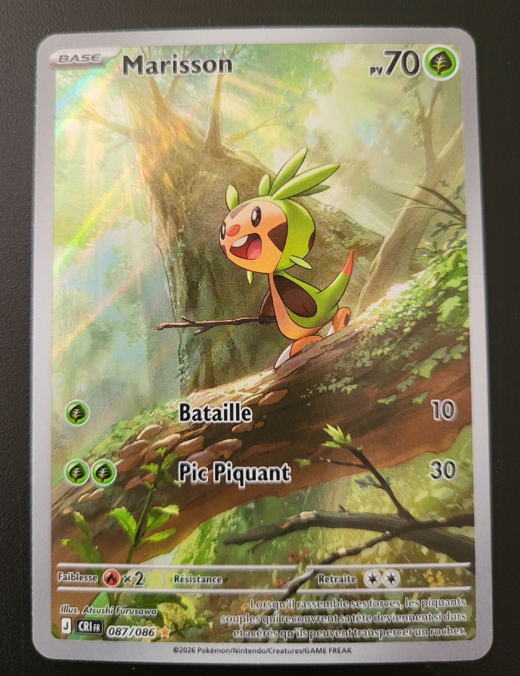 Pokémon Carte collezionabili: Marisson Chaos ascendants FR – Nuovo (secondo la descrizione) da St-Sulpice VD venduto da cel_ysf7