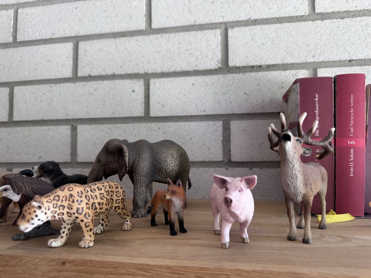 Schleich Statuette: Schleich Zoo Bauernhof – Usato da Zürich venduto da enk01