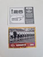 Panini Sticker FWC11