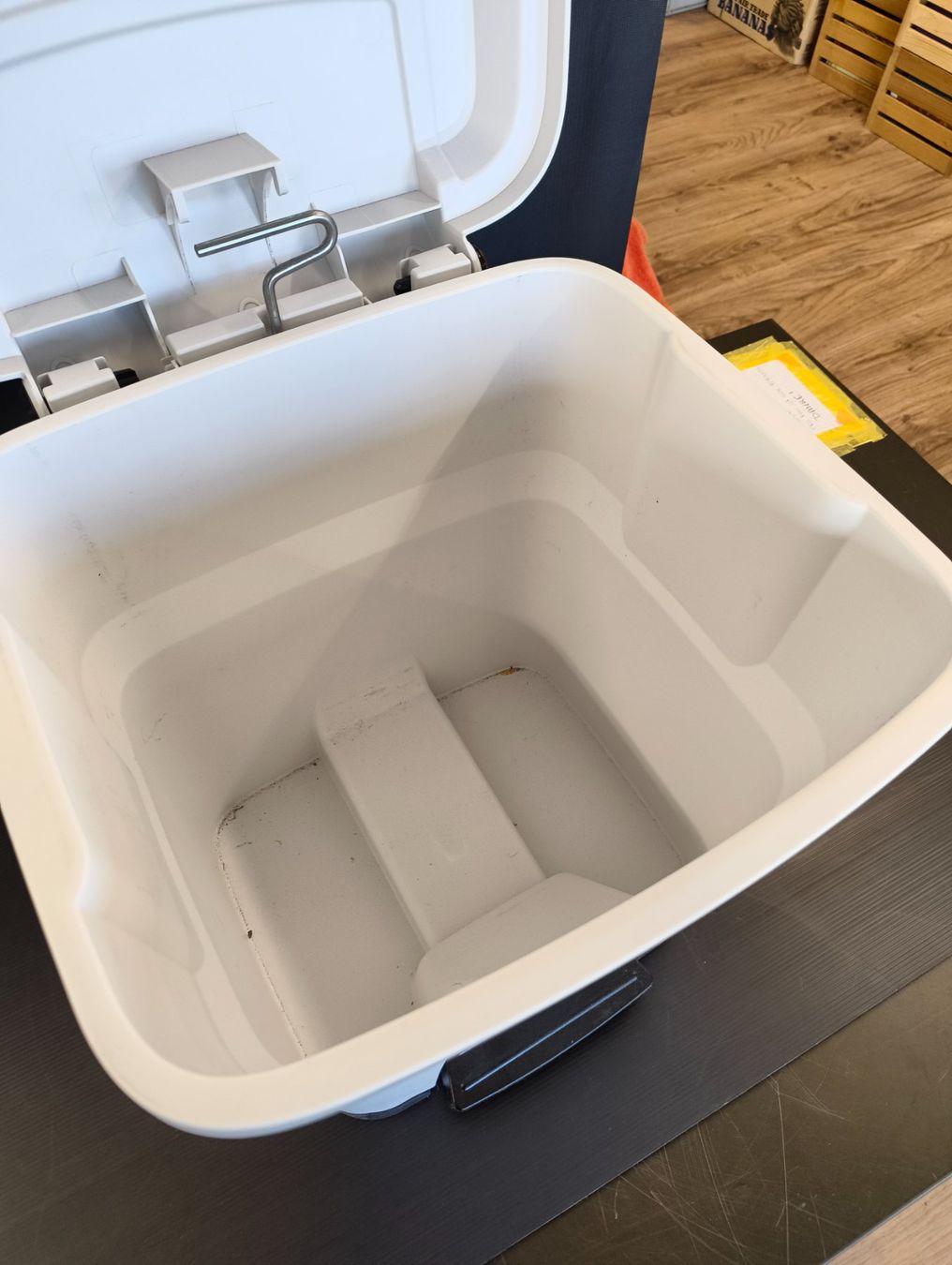 Rotho Cestini per rifiuti: Rotho Pro Mülleimer 35L – Usato da Basel venduto da bk_brockibasel 3