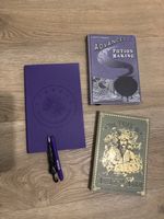 Notizbücher Journal Harry Potter und Wednesday Neu 