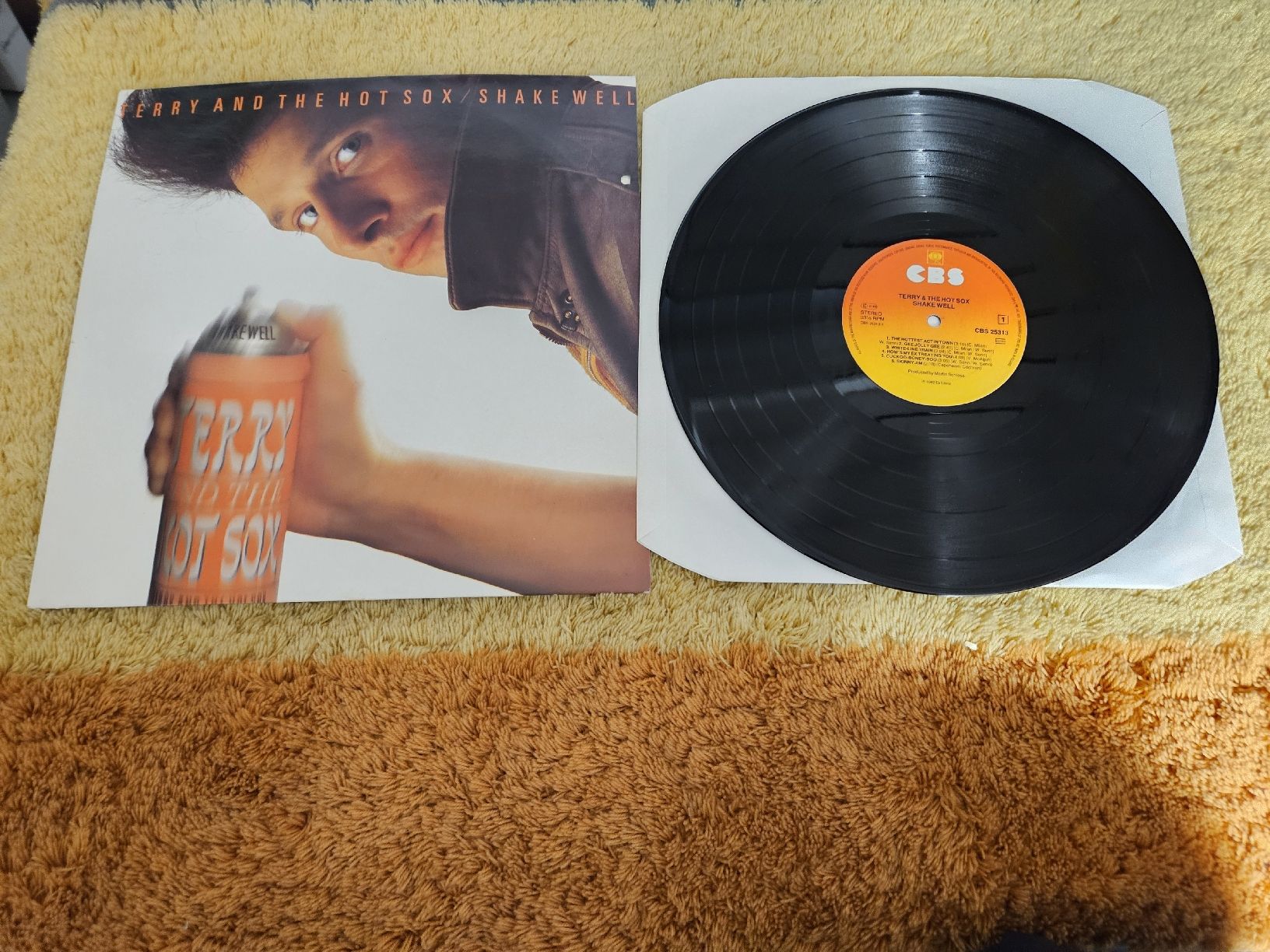 Dischi in vinile: Terry and the hot Sox - Shake well – Nuovo (secondo la descrizione) da Lyss venduto da Alexine