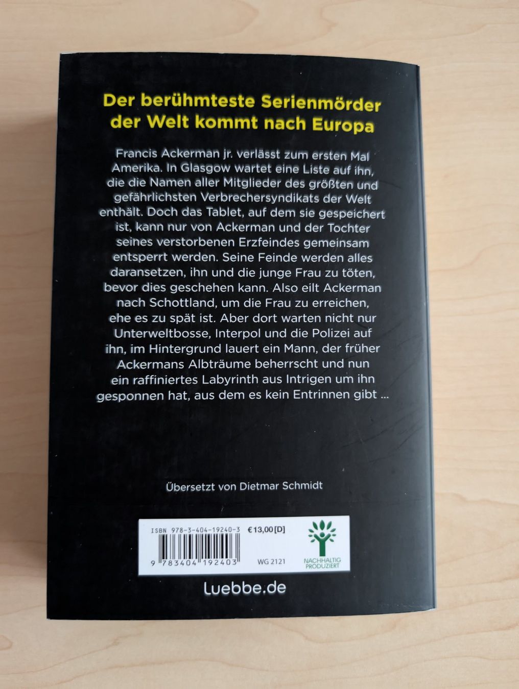 Libri: Ethan Cross: Im Labyrinth der Rache / Taschenbuch – Usato da Spiez venduto da Crazyduck 1