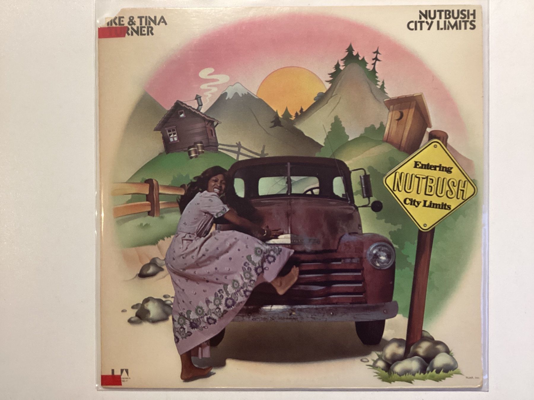 Dischi in vinile: Ike & Tina Turner LP - Nutbush City Limits – Usato da Gutenswil venduto da Hamzian