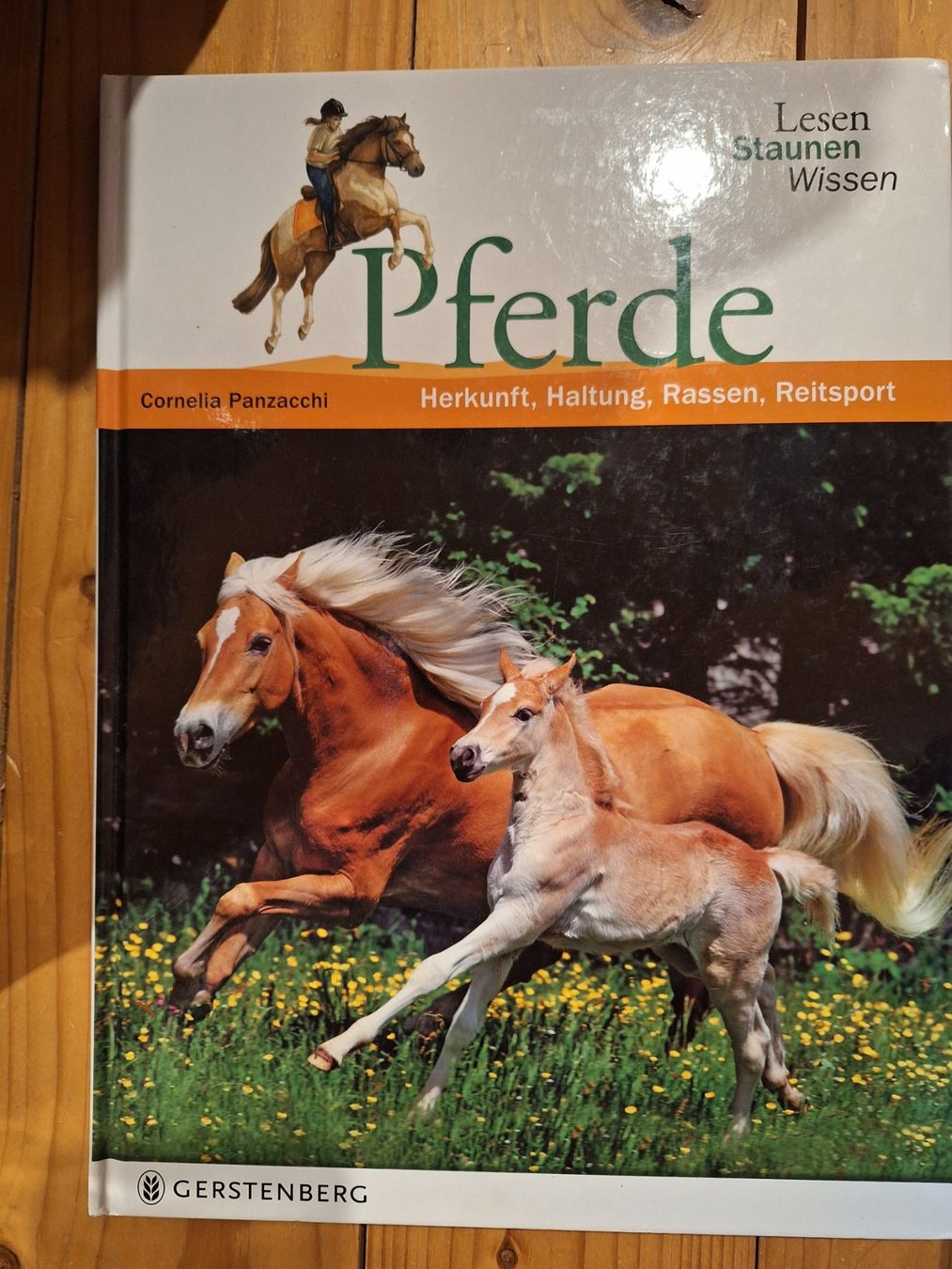 Libri: Pferdesachbuch – Usato da Niederdorf venduto da lcz_cl5m