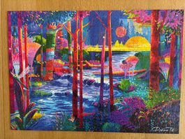 Superbe puzzle 1000 pièces
