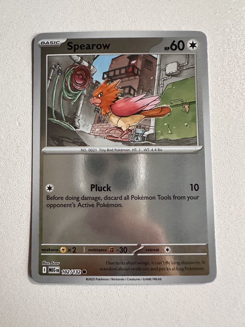 Pokémon Carte collezionabili: Spearow HOLO MEG 102/132 EN – Usato da Zürich venduto da 05t_bwx2