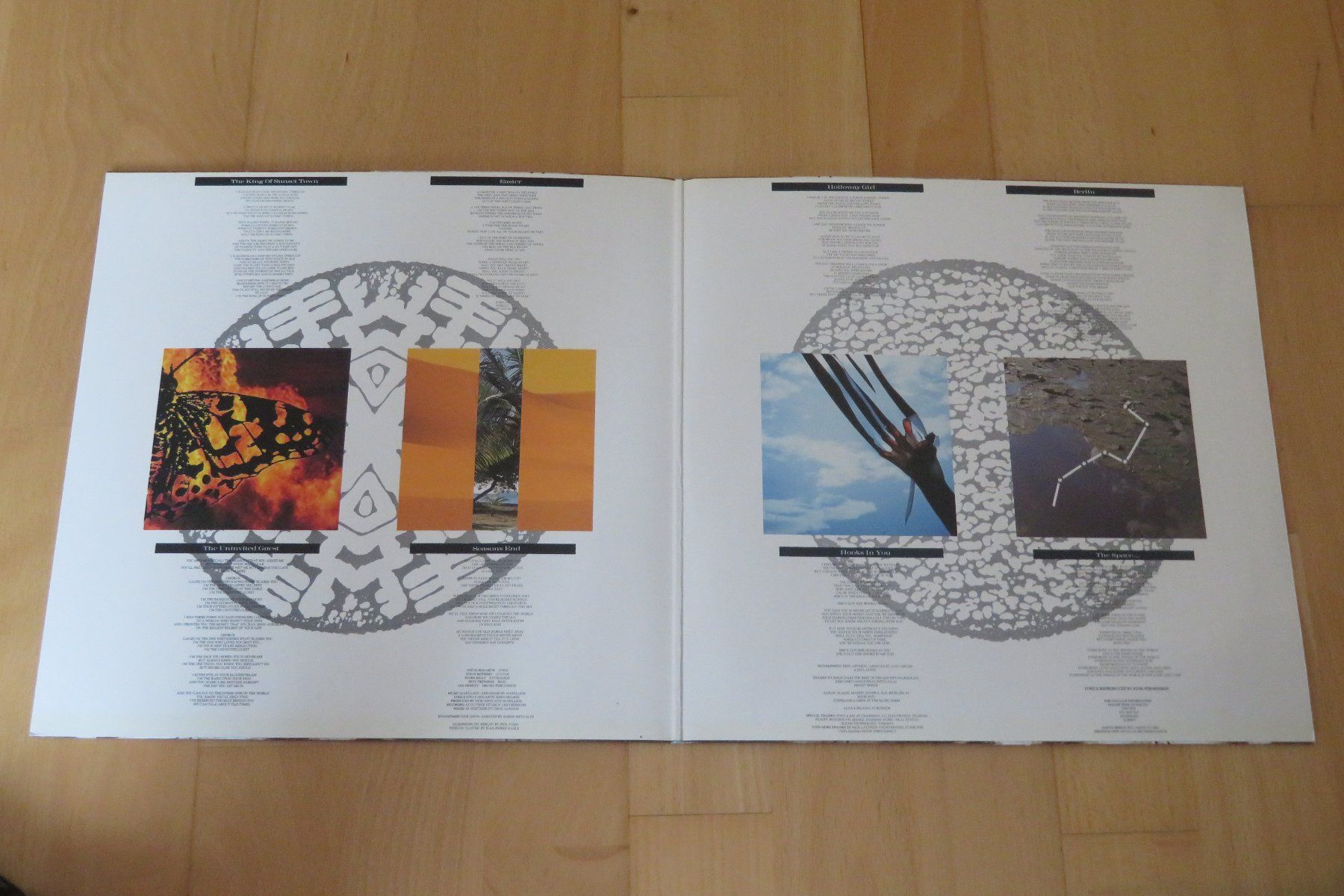 Dischi in vinile: Marillion – Seasons End – Usato da Thun venduto da Karibu70 1