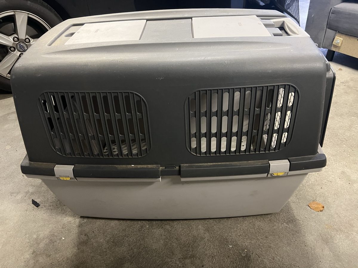 Gabbie, trasporto & Sicurezza: Grosse, robuste Hunde Transportbox für Auto oder Reise. – Usato da Fehraltorf venduto da flo0606 2