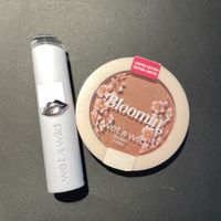 Wet n Wild Blush & Lipstick Set