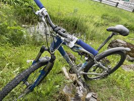 Wheeler Mountainbike Fully Gr.15