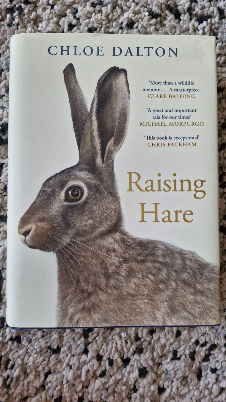 Bücher: Chloe Dalton - Raising Hare - Top Zustand! – Neu (gemäss Beschreibung) aus Basel von Andrealin