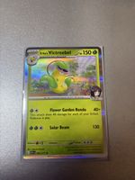 Pokemon Karte Erikas Sarzenia Holo guter Zustand
