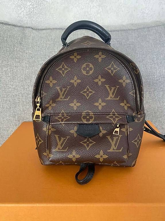 Zaini: Louis Vuitton Palm Springs Mini Backpack – Usato da Frauenfeld venduto da pau_77qk