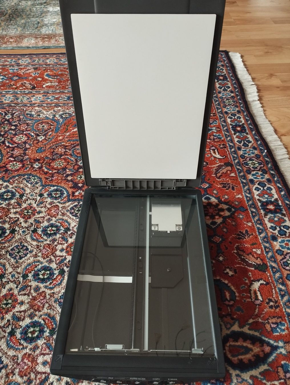Canon Scanner: Canon Scanner Lide 210 – Usato da Rorschacherberg venduto da Giova1922 1