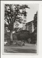 AK 1946 Romanshorn Kirche & Park
