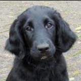 Profile image of Emoody