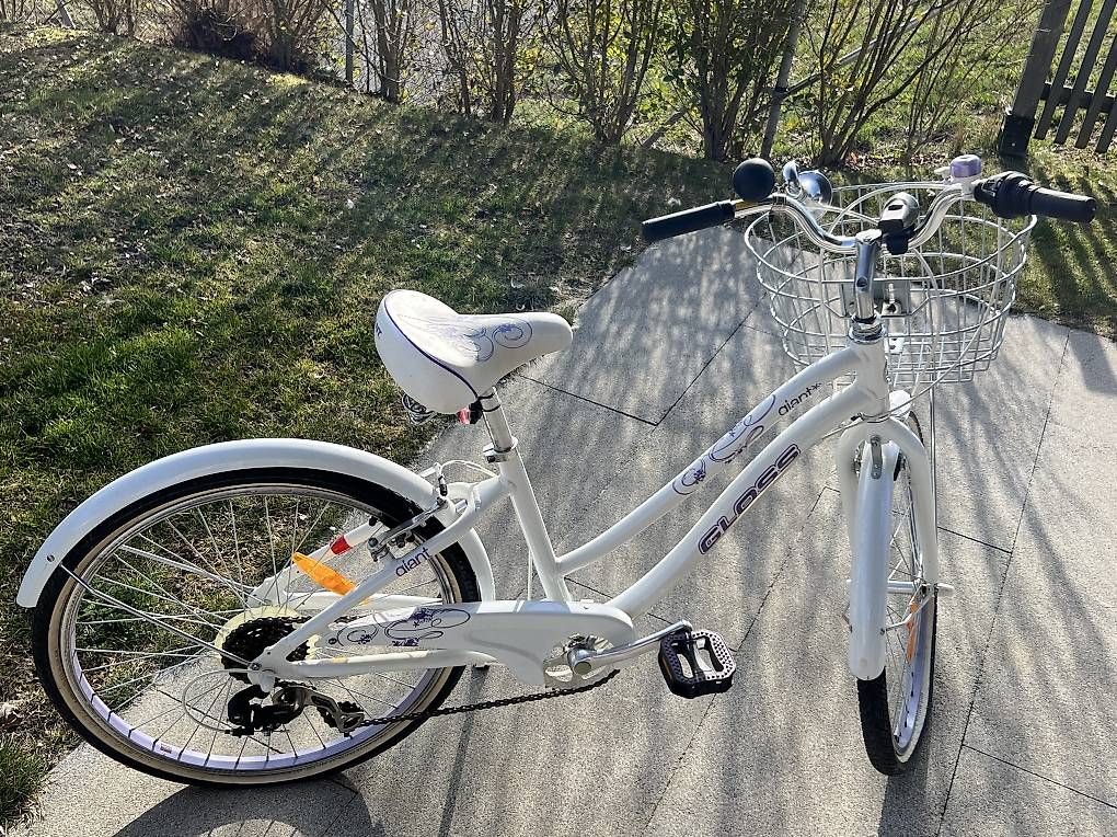 Biciclette: Vélo 20 pouces GIANT Gloss – Usato da Fribourg venduto da pas_bls2 2