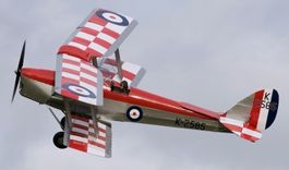 Tiger Moth 3m von Mick Reeves
