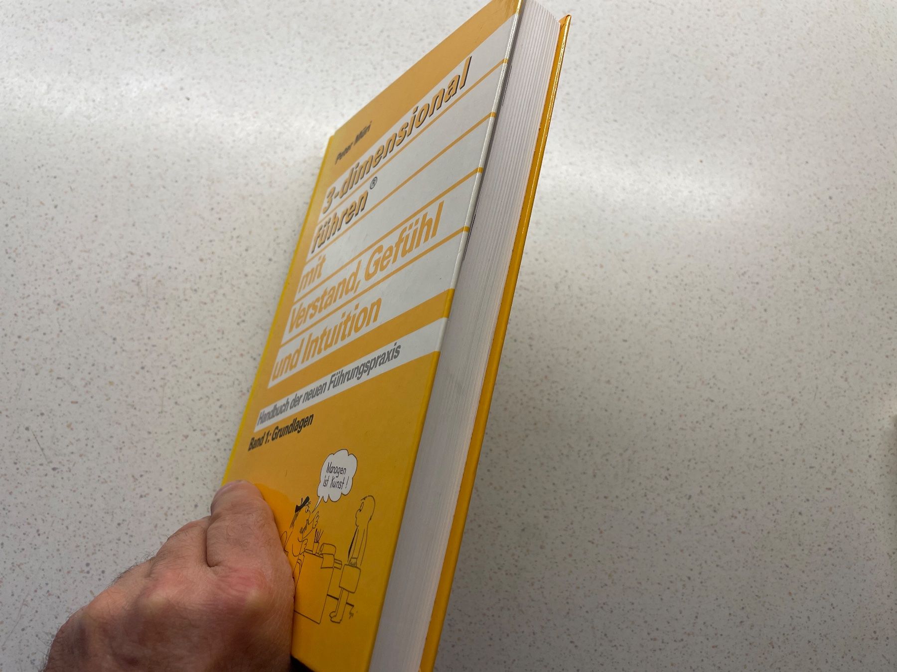 Libri: Buch: 3-dimensional führen – Usato da Winterthur venduto da sportdisco2 5