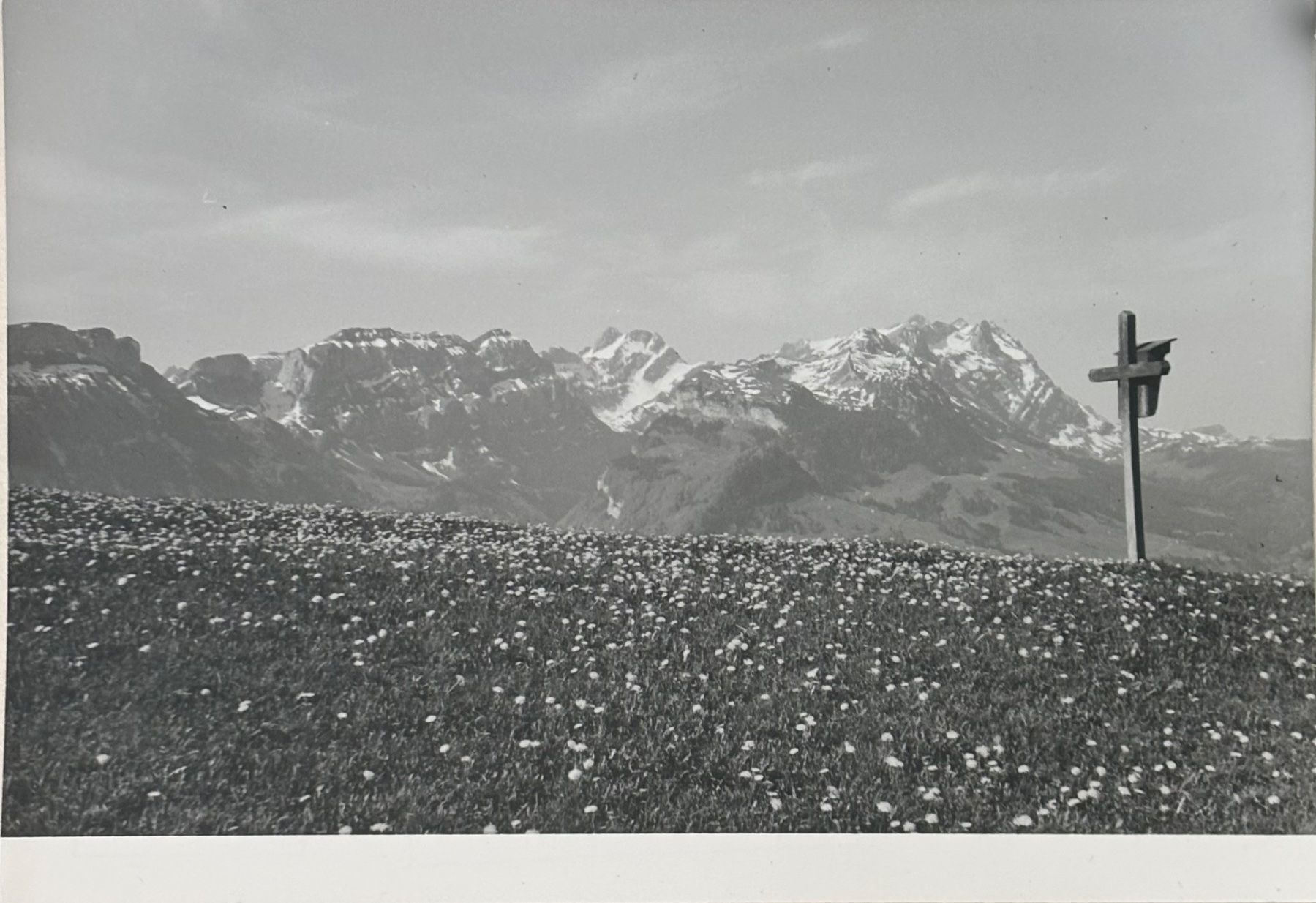 Cartoline postali: Foto E. Grubenmann, Appenzell, 12x17 cm – Usato da Frauenfeld venduto da Merk52