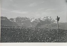 Foto E. Grubenmann, Appenzell, 12x17 cm
