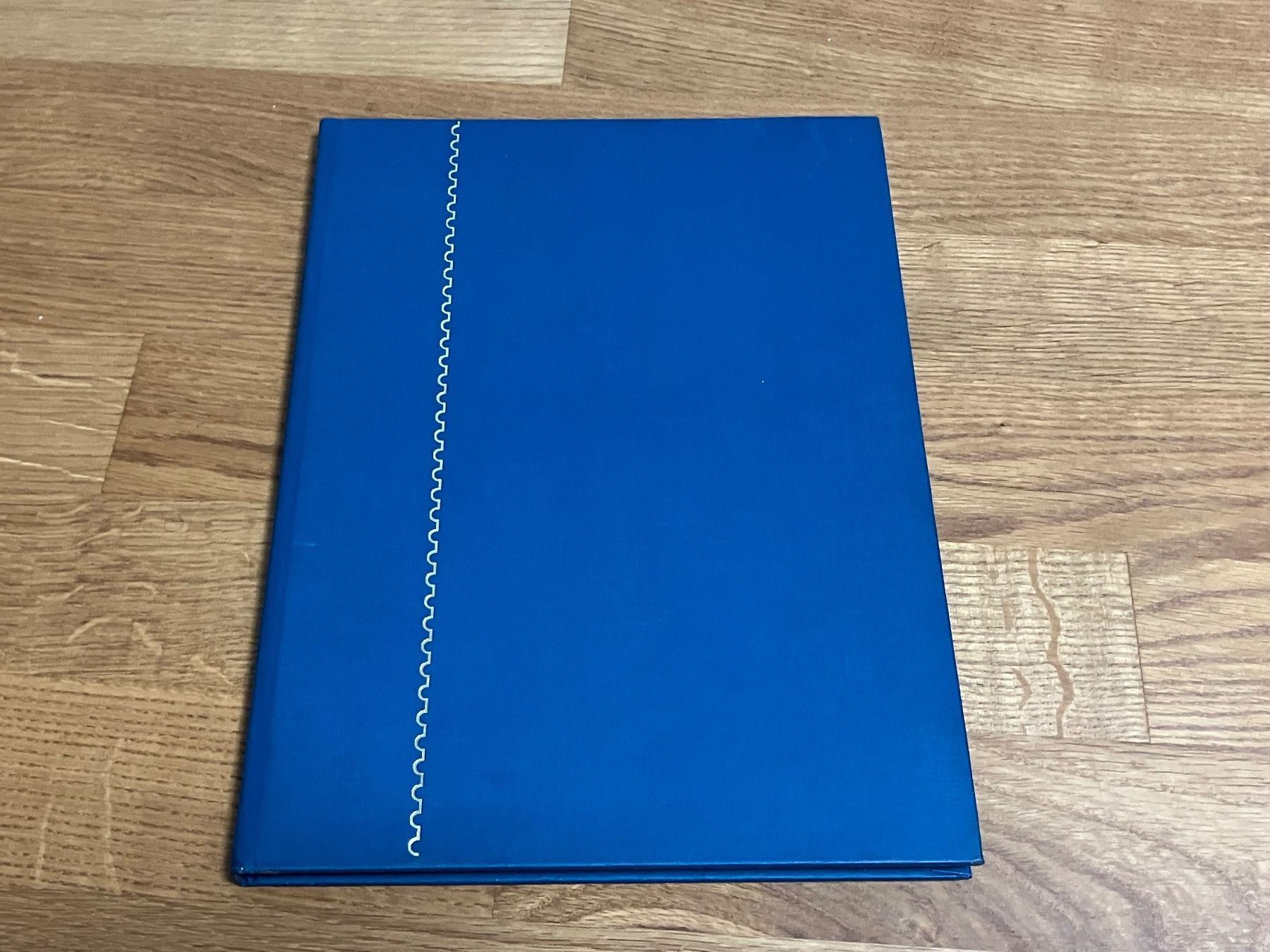 Album: Schweiz Briefmarken Album – Usato da Riehen venduto da vernizi 1