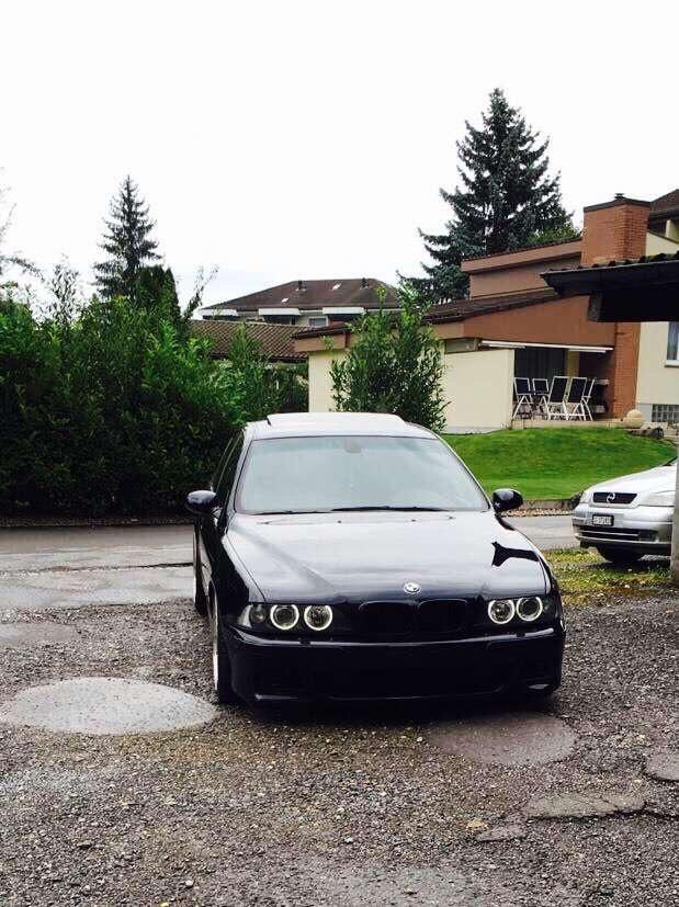 BMW Automobili: BMW M5 E39 – Usato da St. Margrethen SG venduto da goo_97lq 8