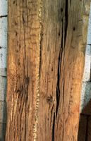 Eiche, Balken, Eichenbalken, Holz, massiv, Möbel, Sitzbank