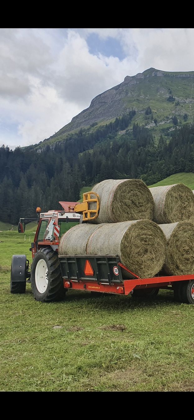 Pinze: Ballenzange – Usato da Sachseln venduto da Cat_m320f