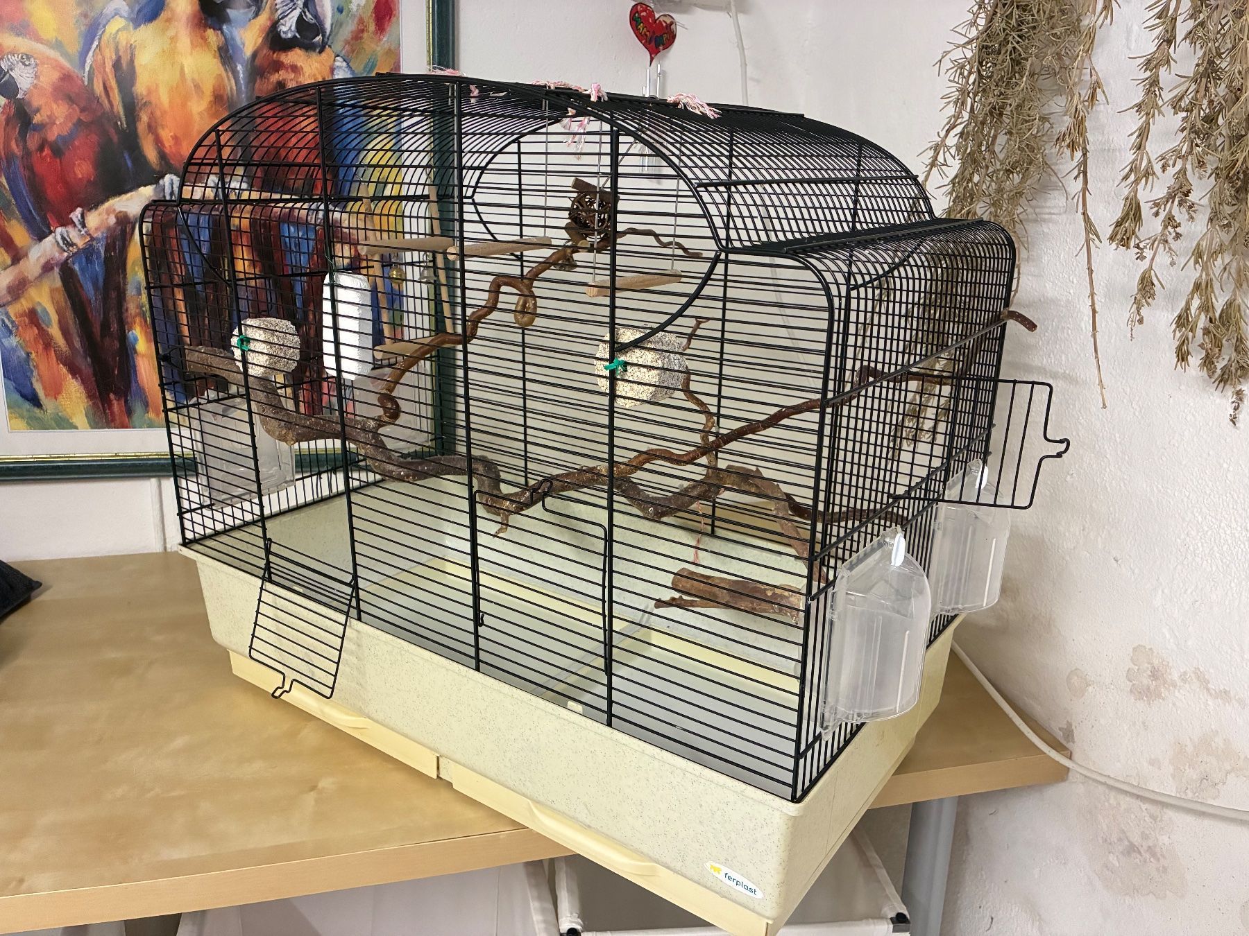Ferplast Cages, transport & sécurité: Wunderschöner Vogelkäfig, liebevoll eingerichtet – D'occasion à Wettingen par Wolkenbeton