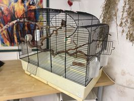 Wunderschöner Vogelkäfig, liebevoll eingerichtet