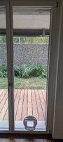 224x64 ESG Glas Tür mit Loch für Karzenklappe / Klima