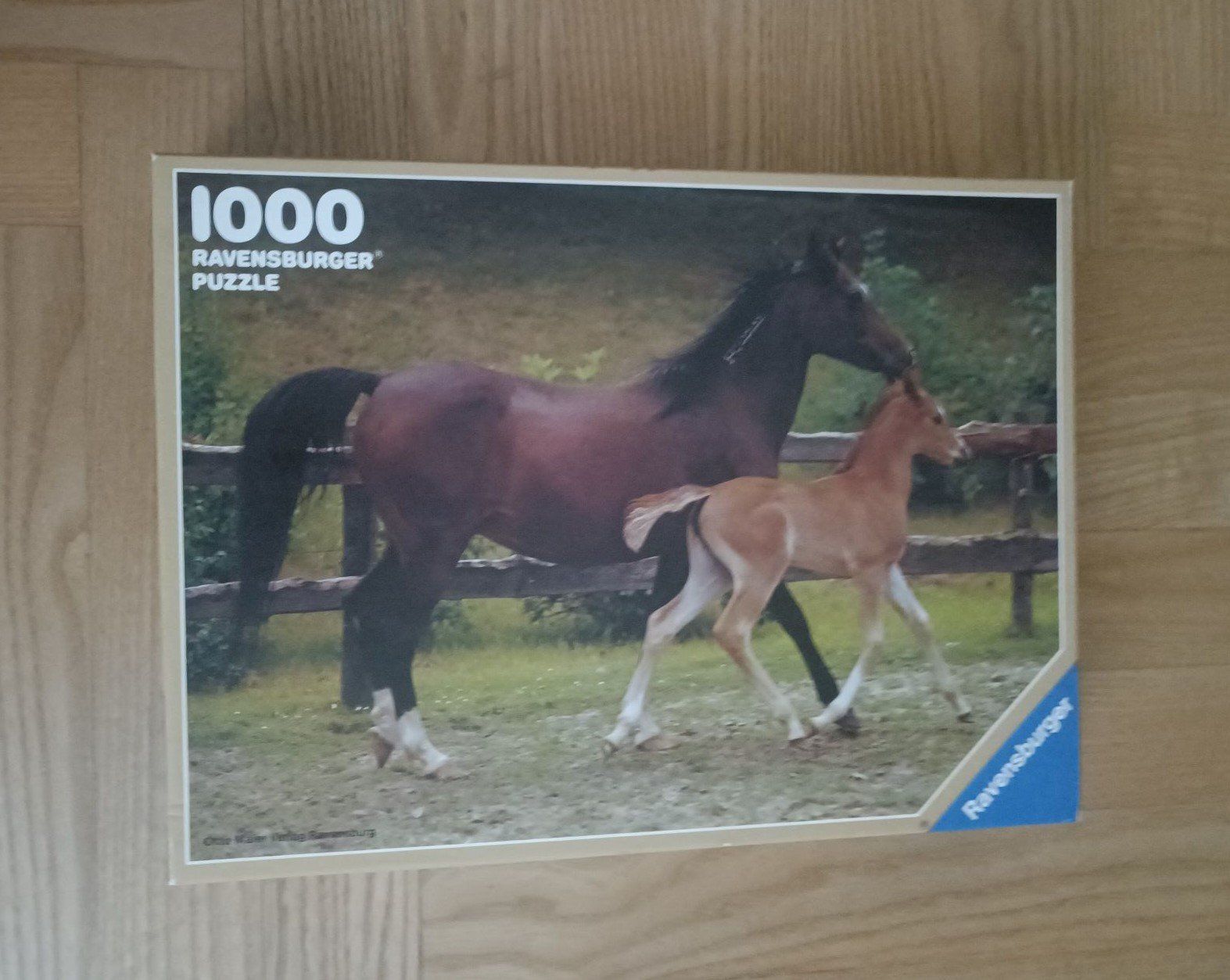 Ravensburger Puzzle: Ravensburger Puzzle 3 Stk. – Usato da Grenchen venduto da Hegre50 3