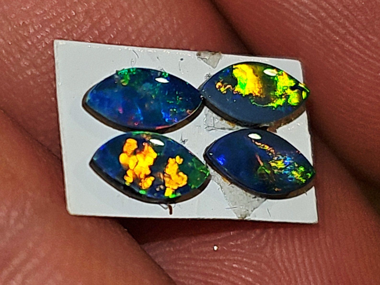 Pietre preziose: 4 Australische Opal Dubletten – Nuovo e nell'imballaggio originale da Uerkheim venduto da Winwinner 1