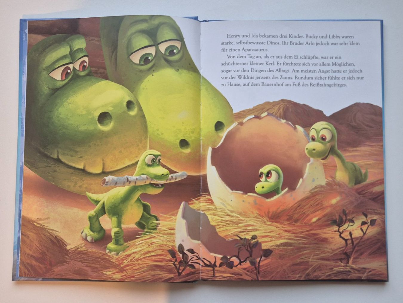 Libri: ARLO & SPOT    🦕     Disney Pixar – Usato da Niederweningen venduto da Obson 1