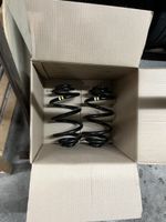 Renault Trafic III Feder 2 Stück Hinterachse neu