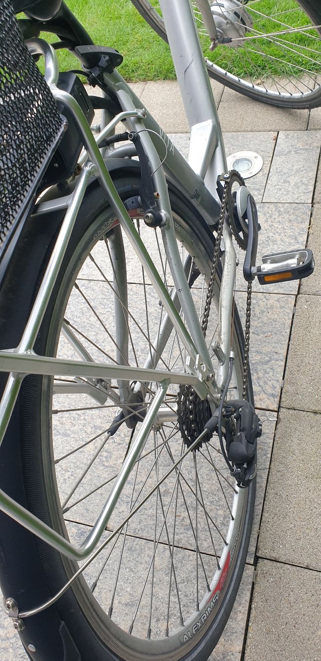 Leopard Biciclette: E Velo Damen Leopard – Usato da Wynau venduto da cloos01 4