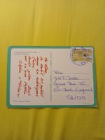 Carte postale République Dominicaine, Rare, Vintage!