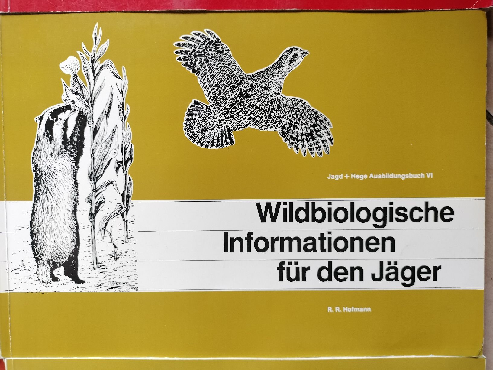 Libri: Jagd Bücher von 1978-1984 – Usato da Schwanden Sigrisw venduto da cadieux71 4