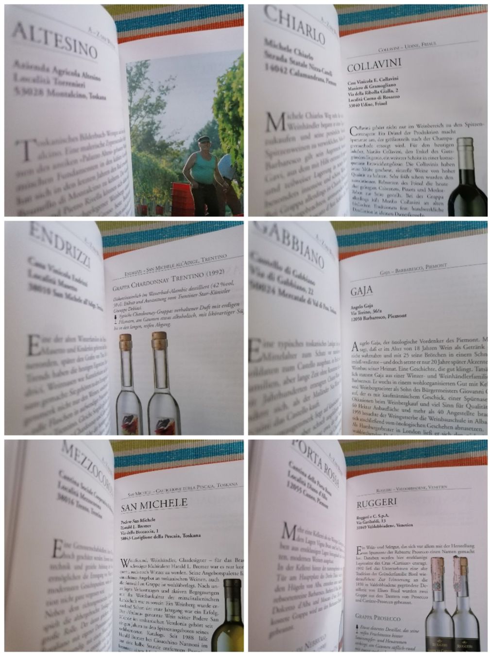 Bücher: Top GRAPPA Kompendium💥🌞 Axel & Bibiana Behrendt – Neu (gemäss Beschreibung) aus Emmenbrücke von negotiari 3