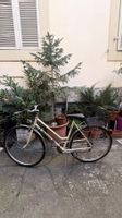 Vélo de ville Bianchi
