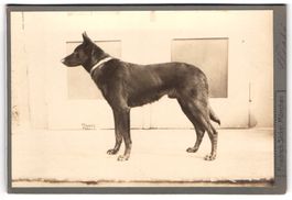 Fotografie Friedrich Sickel, München, D