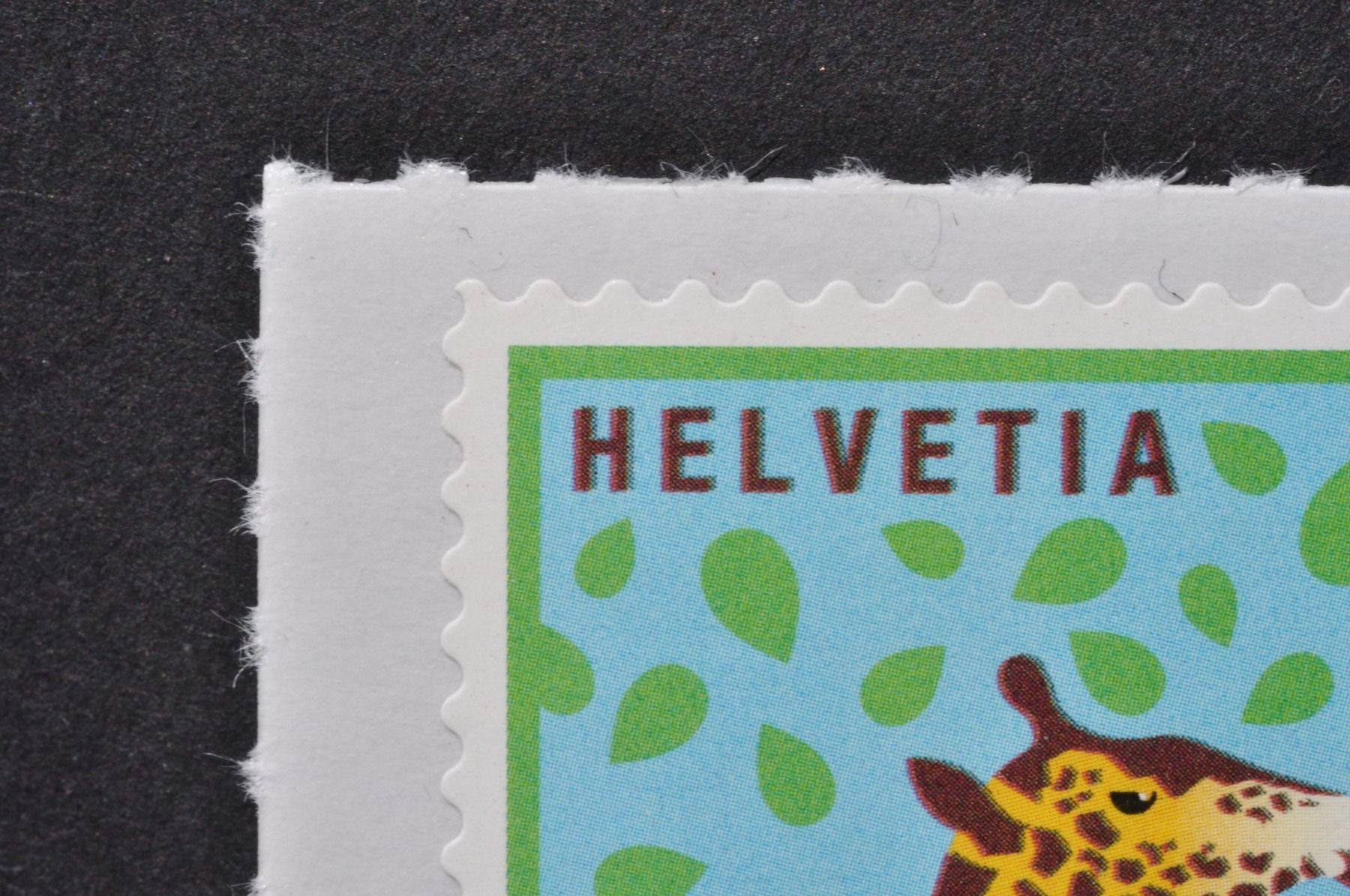 Tutti i francobolli: Abart Giraffe 2019 ** Farbverschiebung – Nuovo (secondo la descrizione) da Worb venduto da Buespy 1