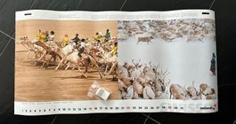 Der letzte Swissair Wandkalender, Jahr 2002