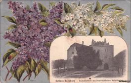 Habsburg AG // 1916 Schloss Prägekarte