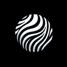 Profile image of ZeebraScooters