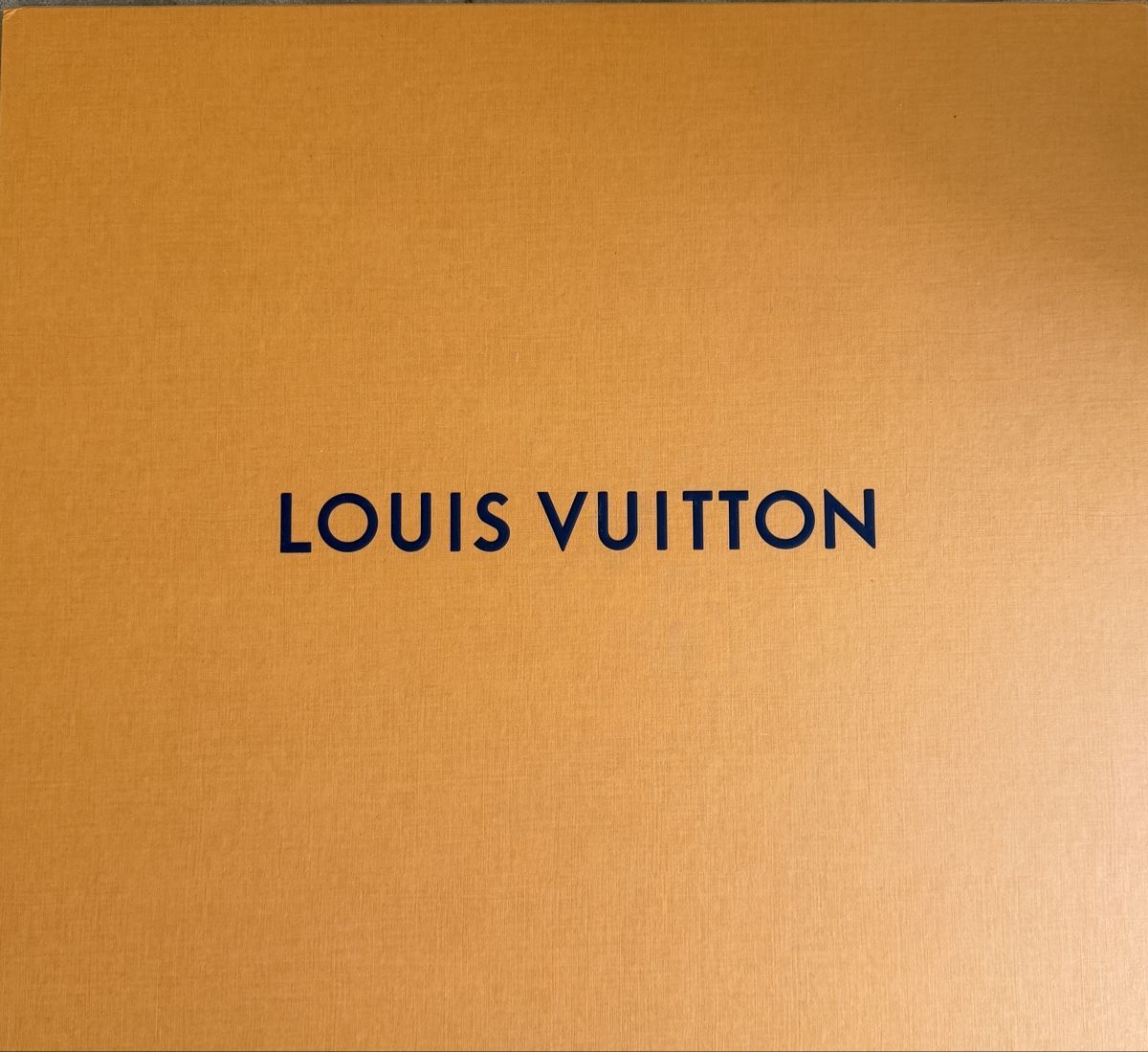 Louis Vuitton Altro in Decorazioni & Accessori: Louis Vuitton Box gross mit Staubbeutel – Nuovo (secondo la descrizione) da Gals venduto da sop_s7mz